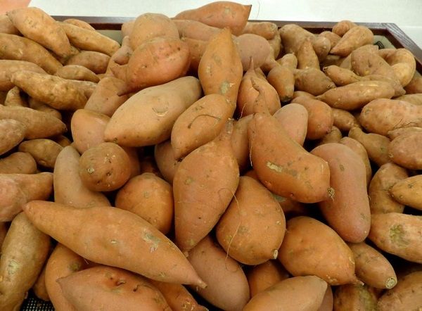 bunch of yams