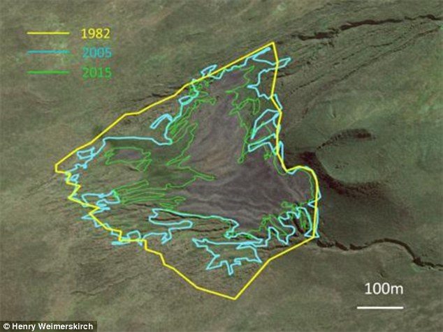 Click to enlarge Gradual shrinkage of bare ground surface area, corresponding to extent of colony.
