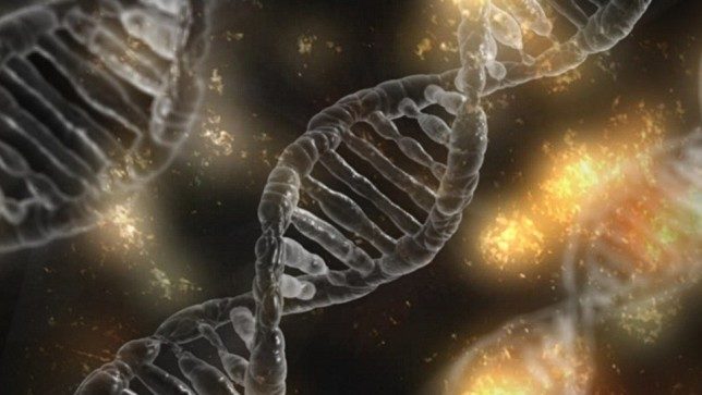 DNA image