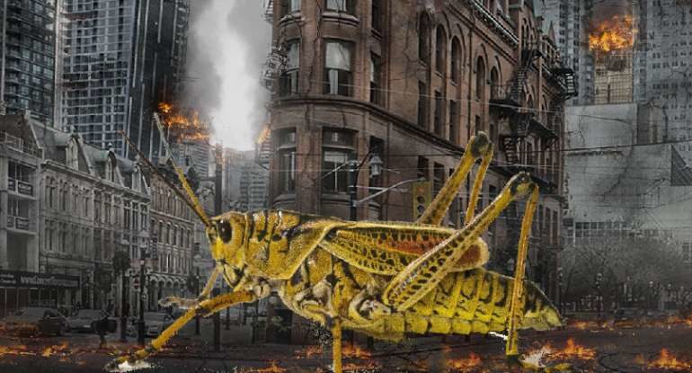 locust city burning