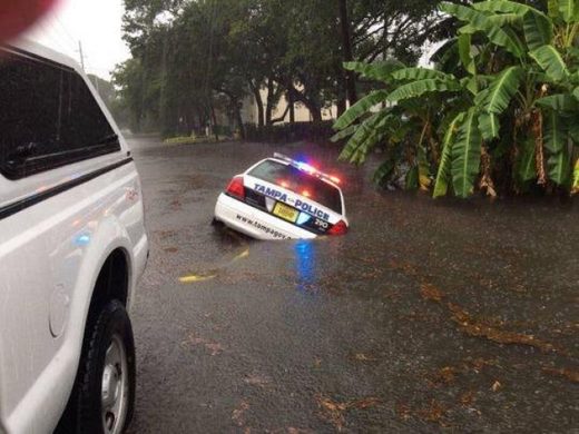 Click to enlarge Tampa police car