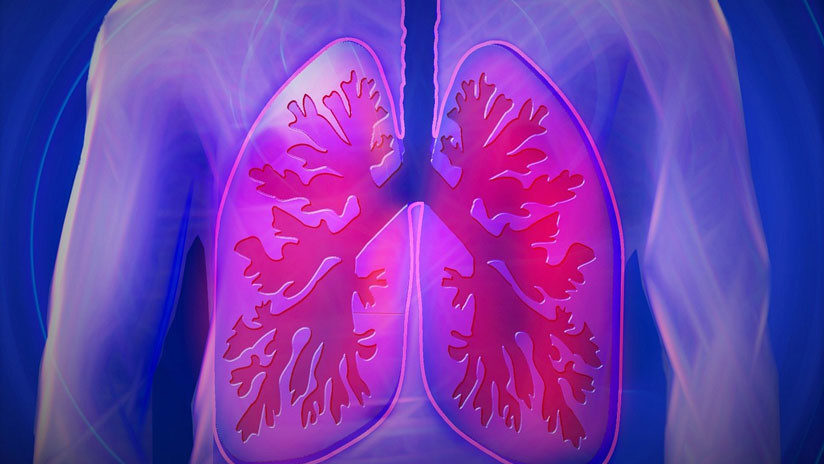 lung
