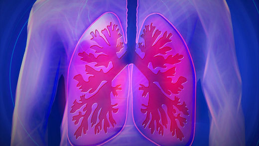 Study suggests why most smokers don't get lung cancer