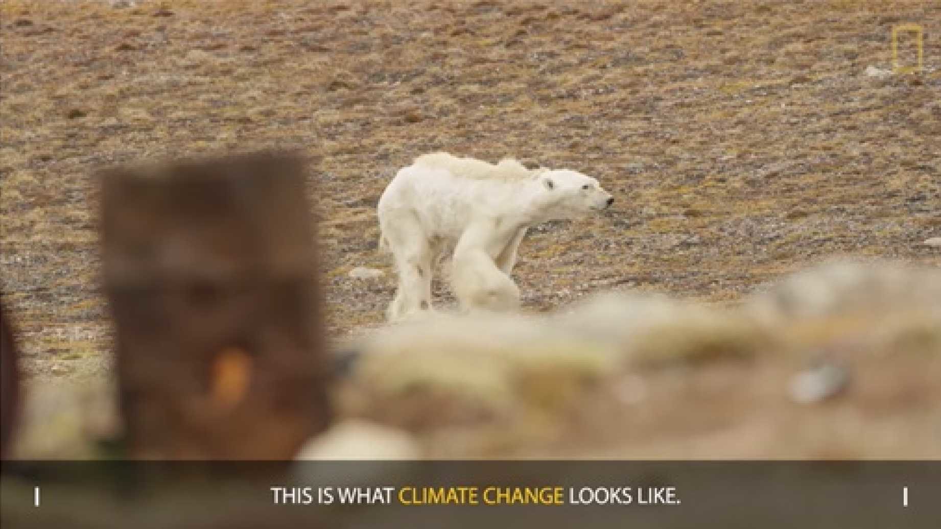 climate change fake news