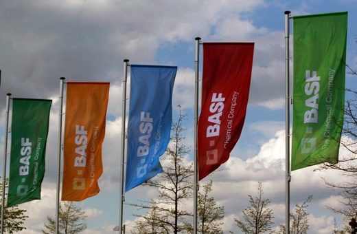 Click to enlarge BASF/Bayer