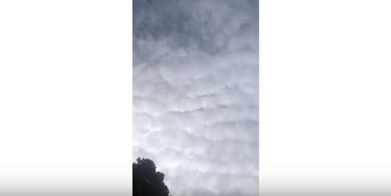 Click to enlarge Strange sound in NY