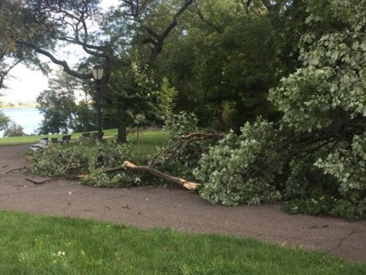 Click to enlarge Storm damage in Whitestone, New York