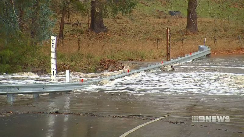 Parts of South Australia received up to 81mm of rain