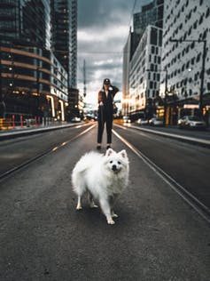 Click to enlarge dog walking