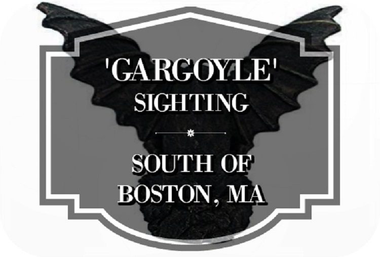 Gargoyle sighting in MA
