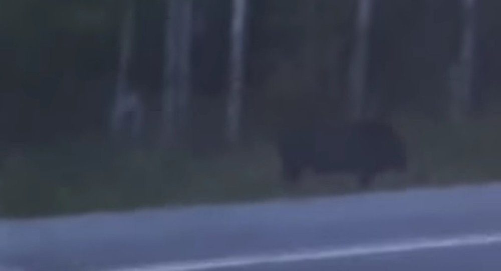 Gollum