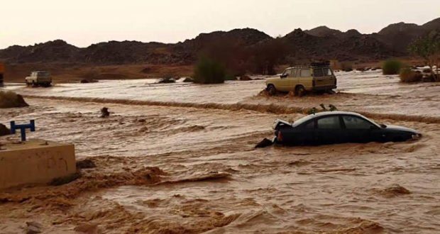 Algeria flood