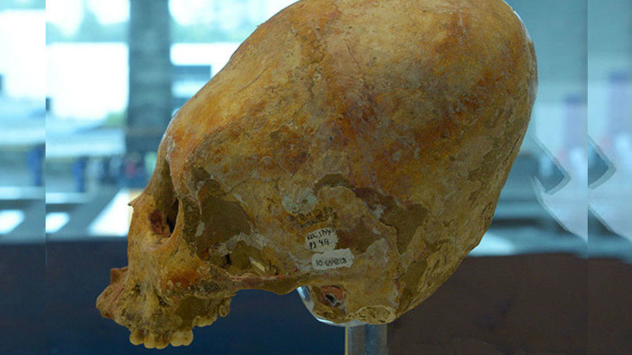 Click to enlarge 7000 yr old mayan skull