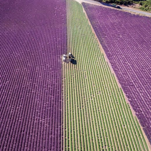 Click to enlarge Drone photography