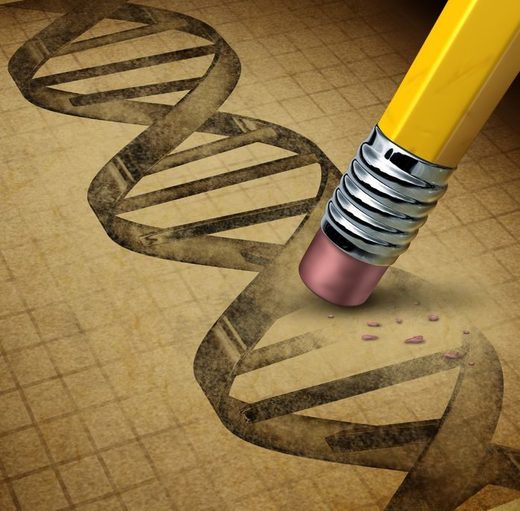 genetics