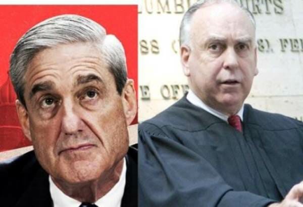 Click to enlarge mueller judge ellis