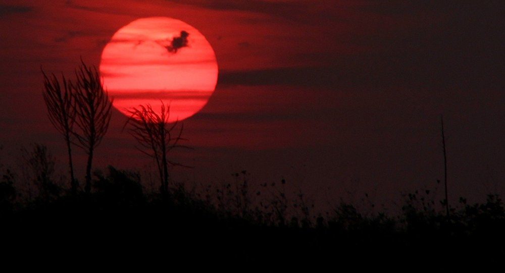 sunset