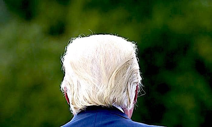 Trumpback