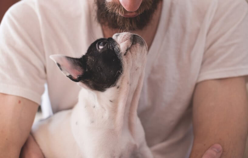man's best friend