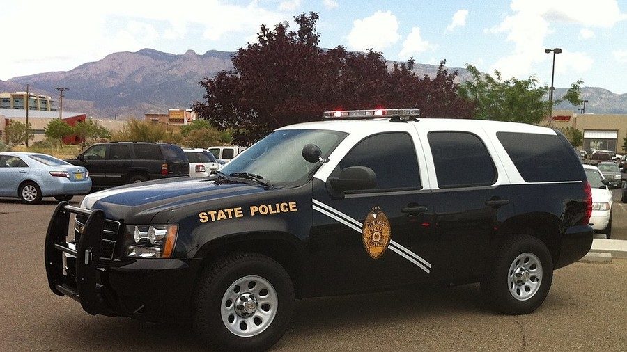 Click to enlarge state police car
