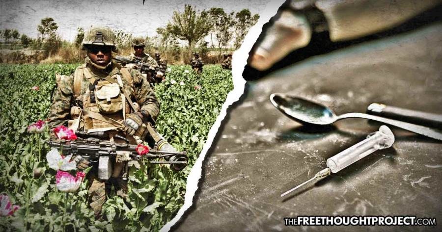 afghanistan opium fields soldier