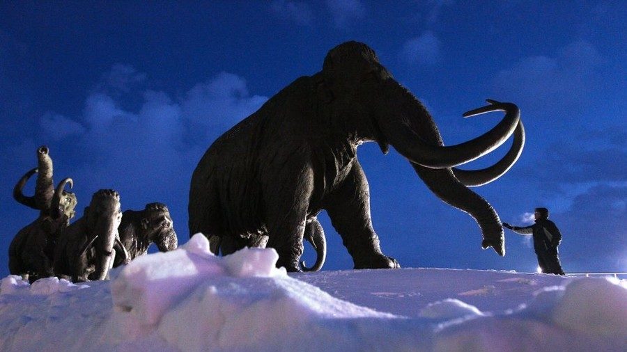 Woolly mammoth