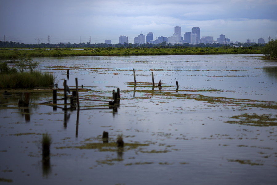 Click to enlarge Swamp