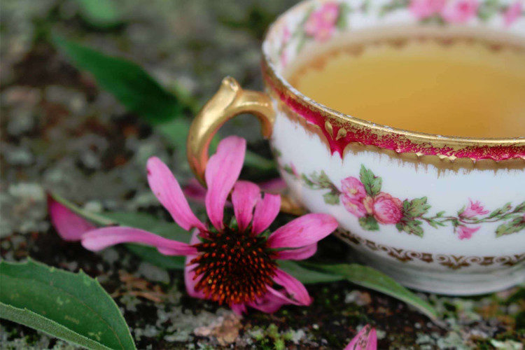 echnicia tea