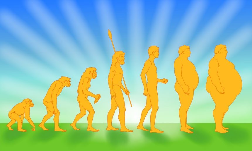 Click to enlarge evolution to obesity