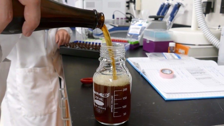cannabis beer