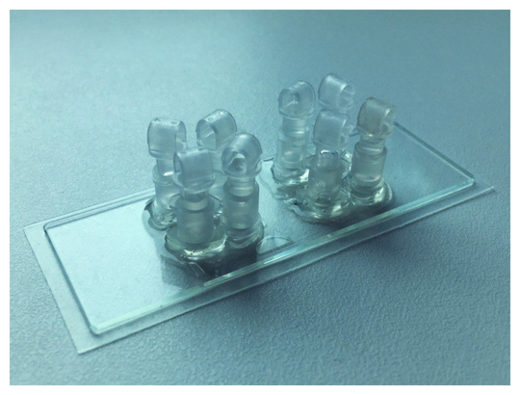 Bio-Chip