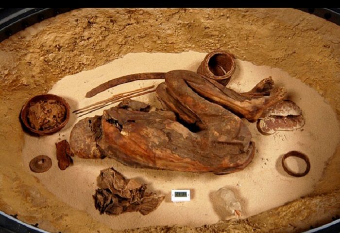 Click to enlarge S.293 Mummy