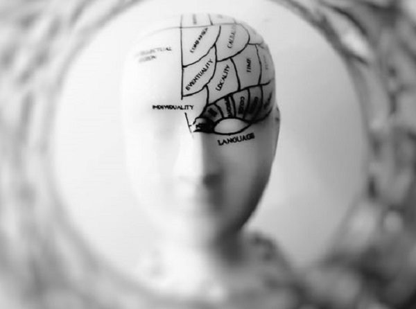 brain