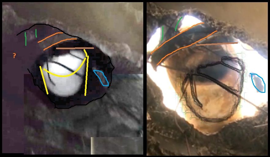 Click to enlarge OPCW 8