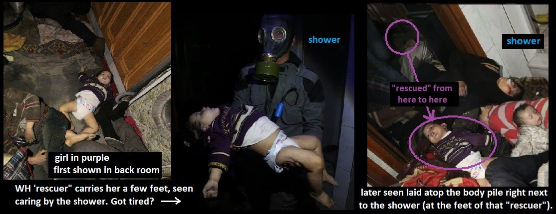 Click to enlarge OPCW 13