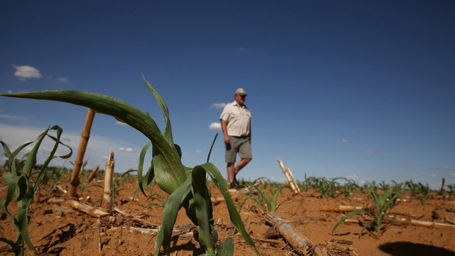 Click to enlarge white South African farmer