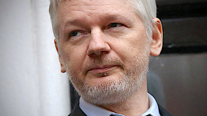 Click to enlarge Julian Assange
