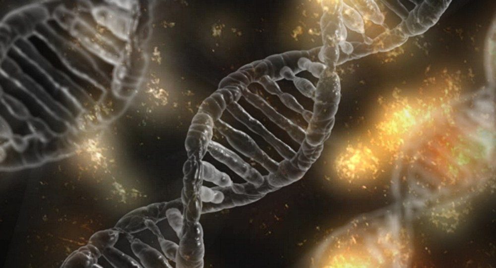 dna chromosome
