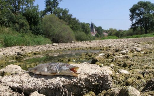 Click to enlarge river bed france dry