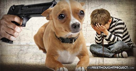 Gun, dog, child