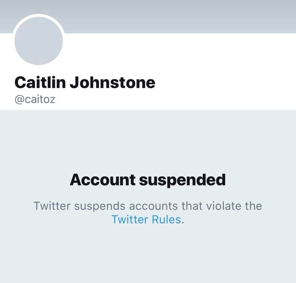 Caitlin Johnstone suspended