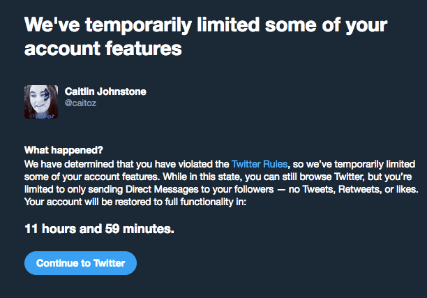 Click to enlarge Caitlin Johnstone twitter warning