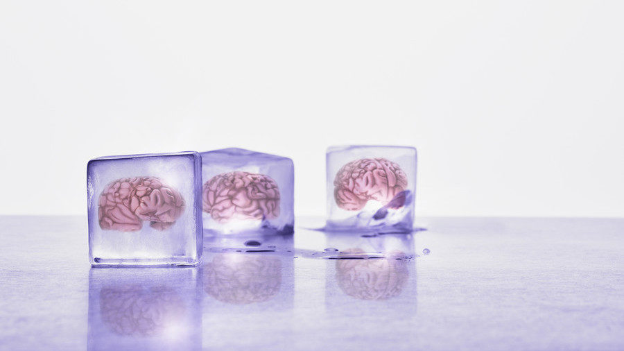 Click to enlarge Brain