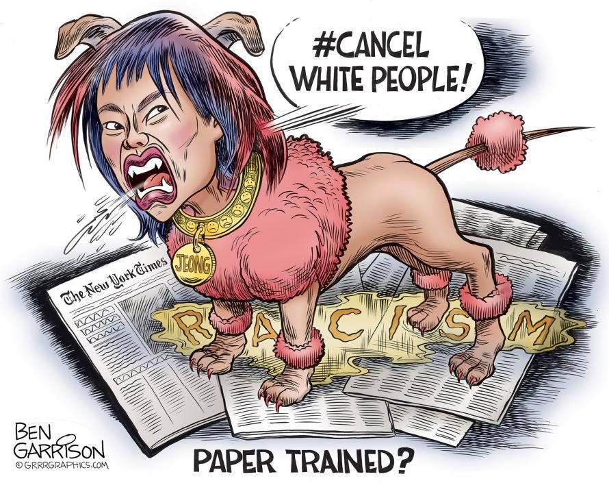 Click to enlarge sarah jeong cartoon