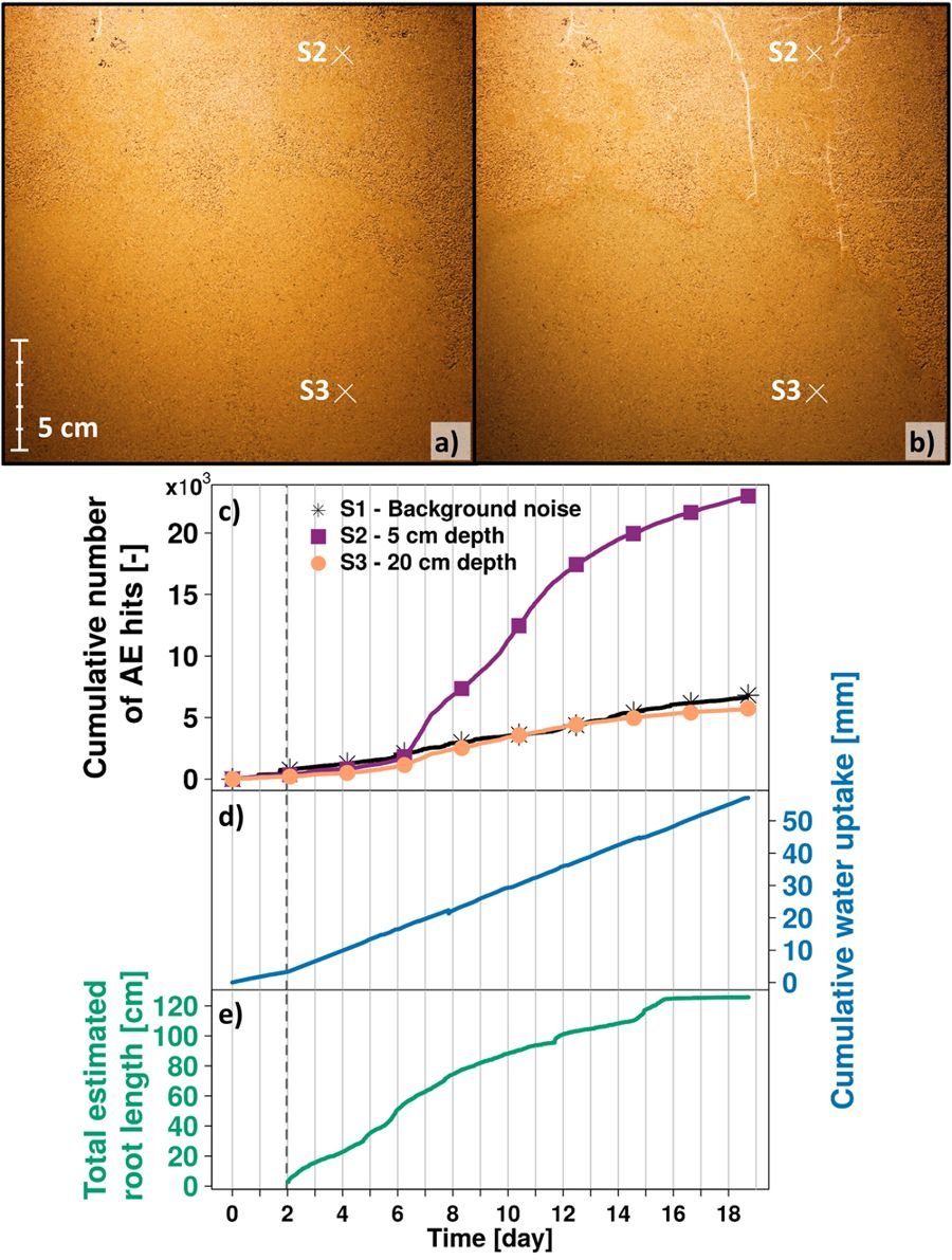 Click to enlarge root growth chart