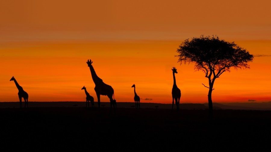Click to enlarge South Africa land