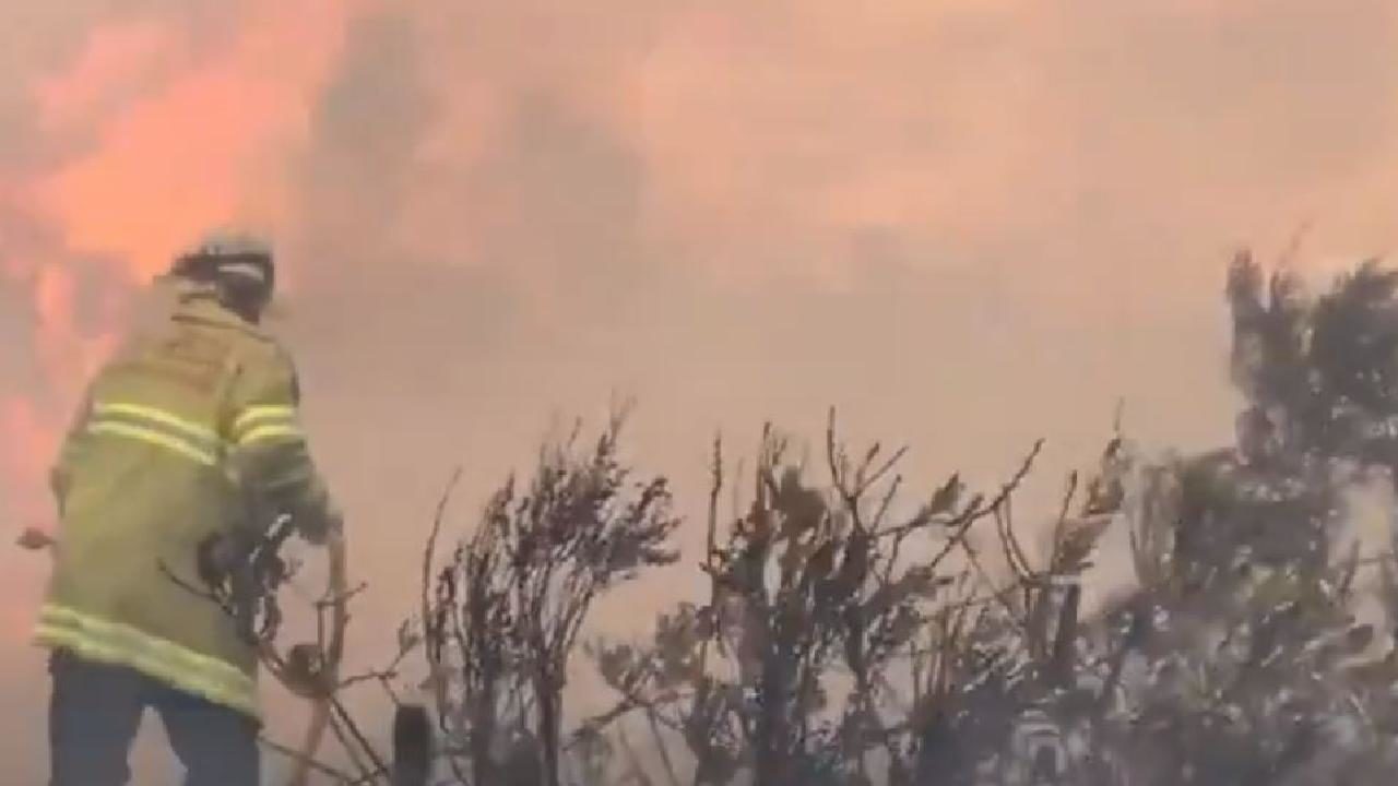 bushfire