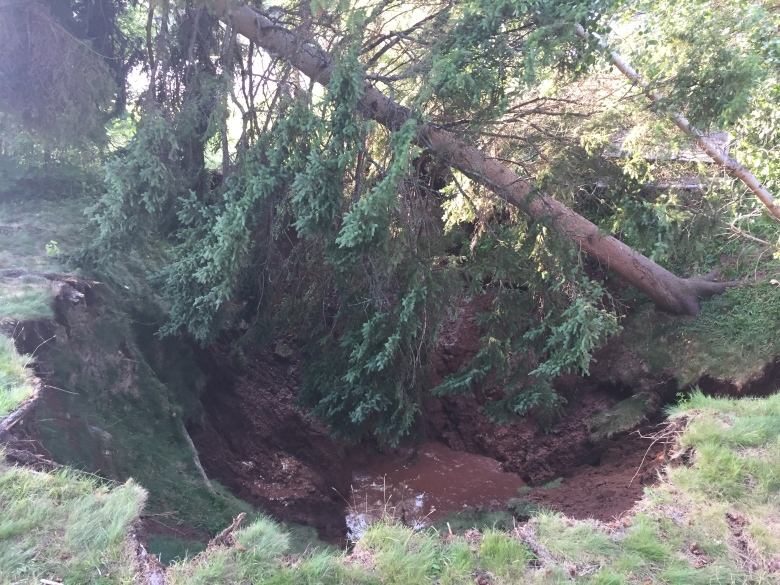 Click to enlarge The sinkhole swallowed one picnic table and another is near the edge.