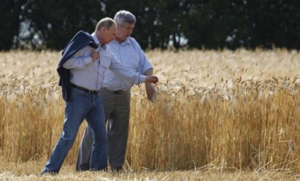 Click to enlarge putin field