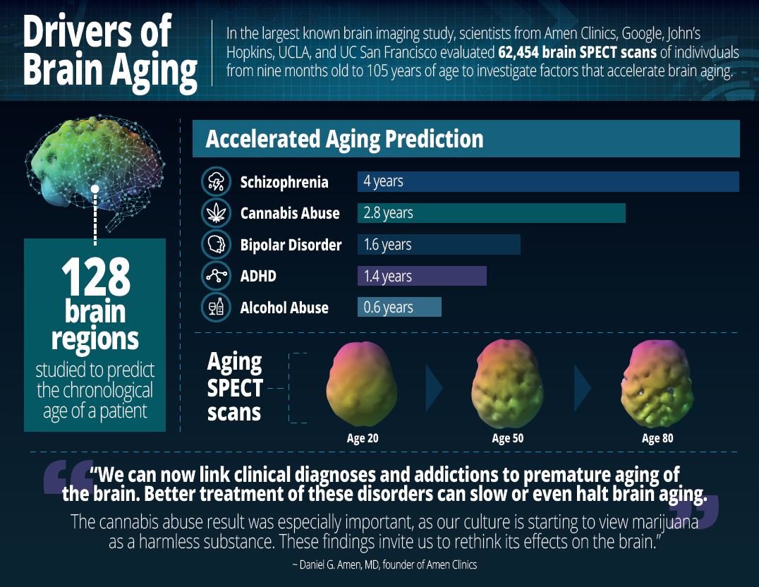 Click to enlarge Drivers of Brain Aging.